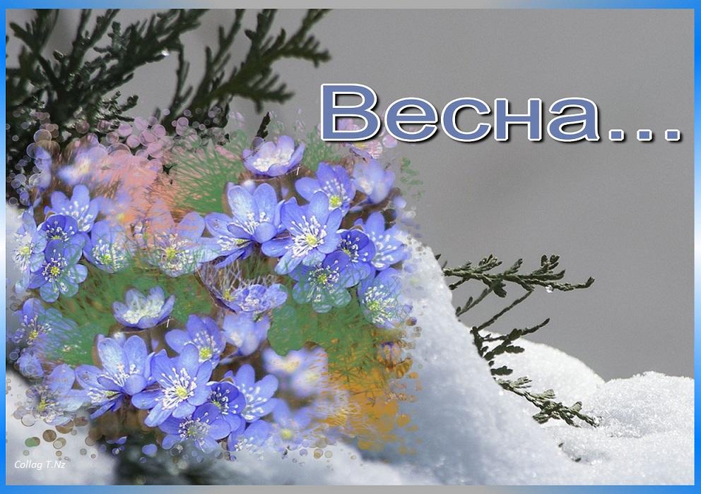 ВЕСЕННЕЕ