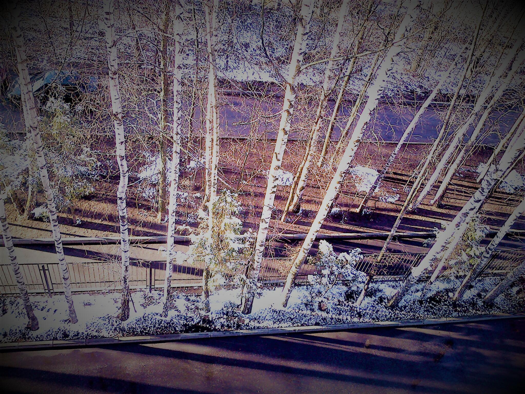 Зимнее утро