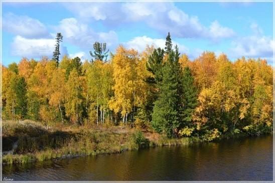 Творить добро от 31. 08. 2015