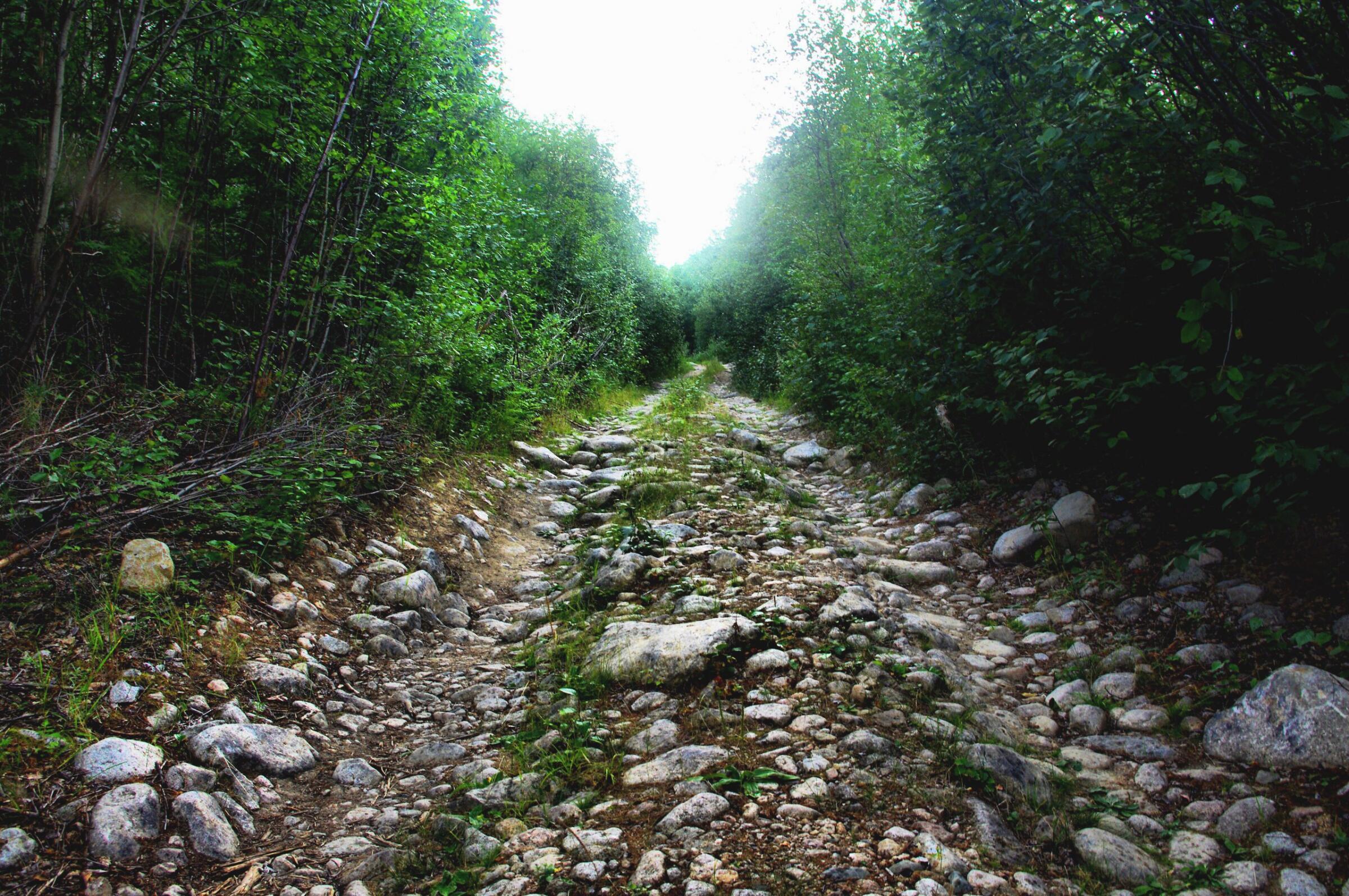 Жизнь дала мне урок.