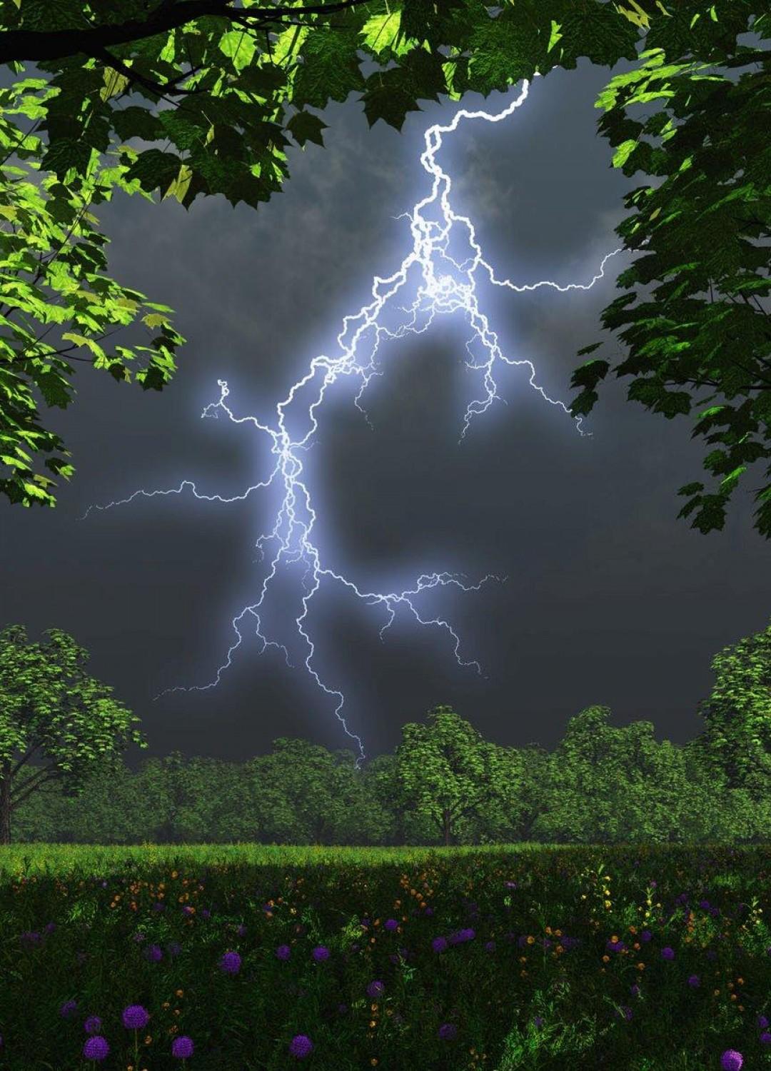 А УТРО НАЧАЛОСЬ С ЗАРЯДКИ