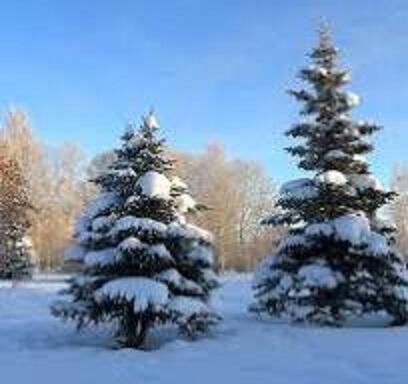 ПРИШЛА ЗИМА