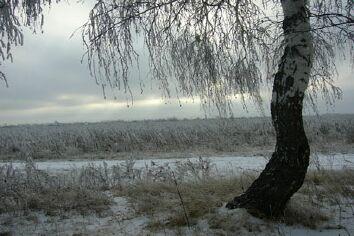 ПРЕДЗИМЬЕ