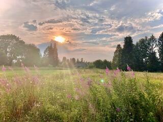 ИЮЛЬ УХОДИТ