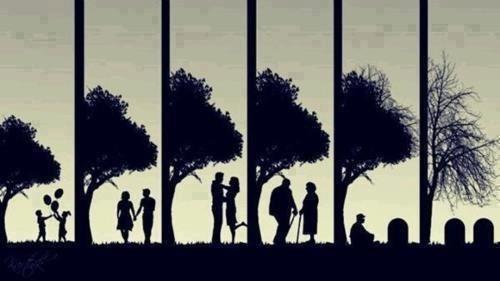 Чьи-то плечи