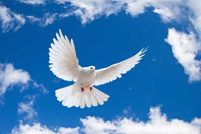 СТИХИ. МАРТ-2017