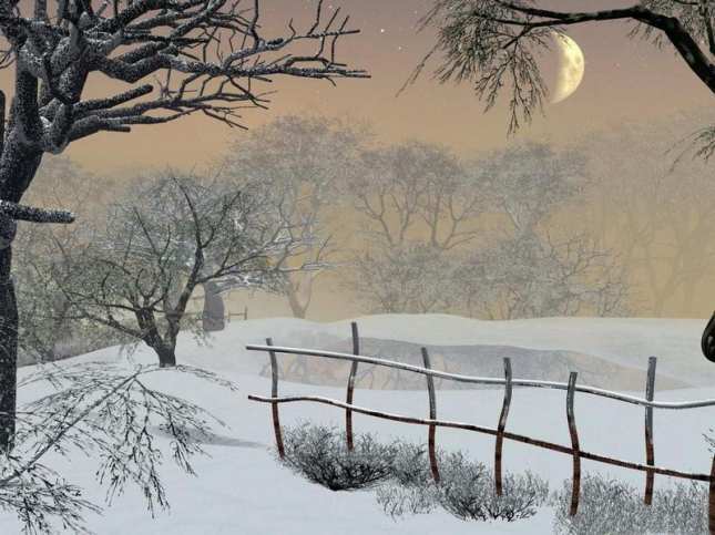 Старый клён стоит в саду,