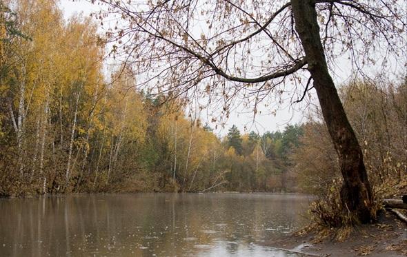 Тут одного желанья мало...