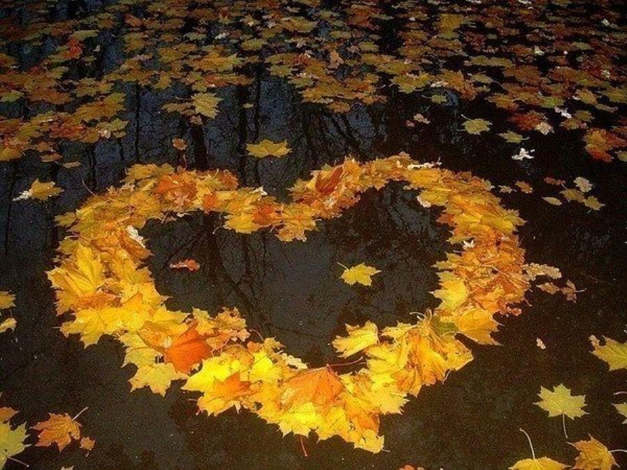 Стихи. Начало