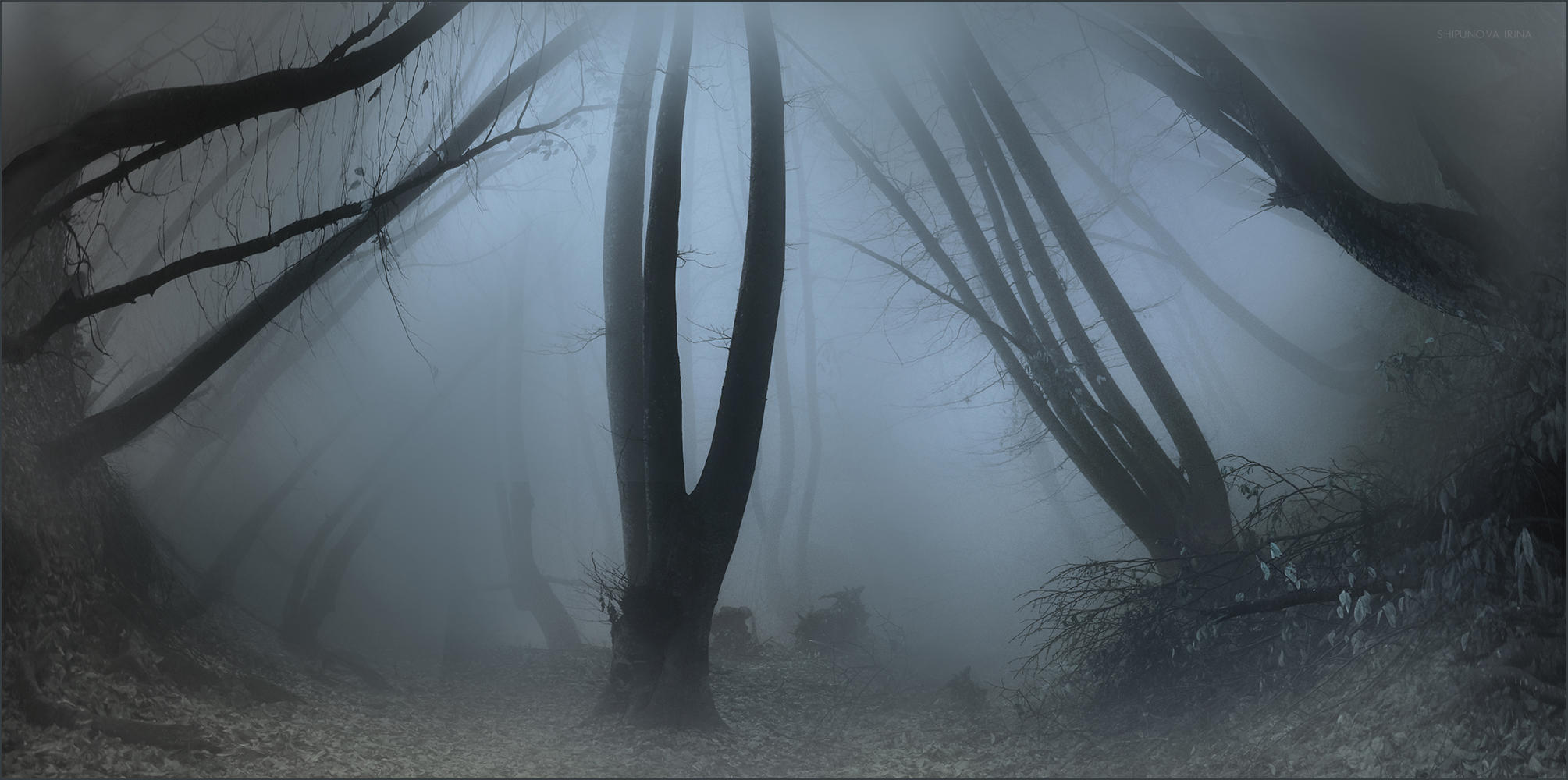 Я не люблю твои стихи...