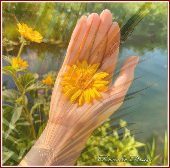 Остатки лета на ладони