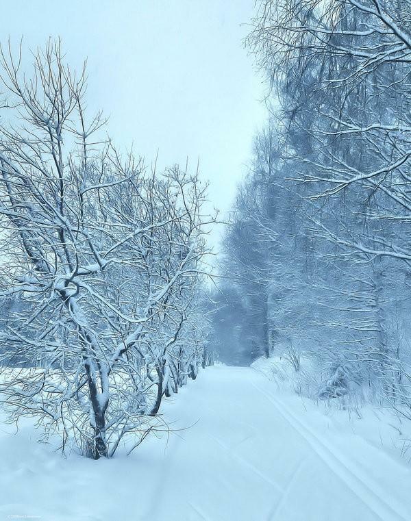 СЕРЕДИНА МАРТА - (акро)