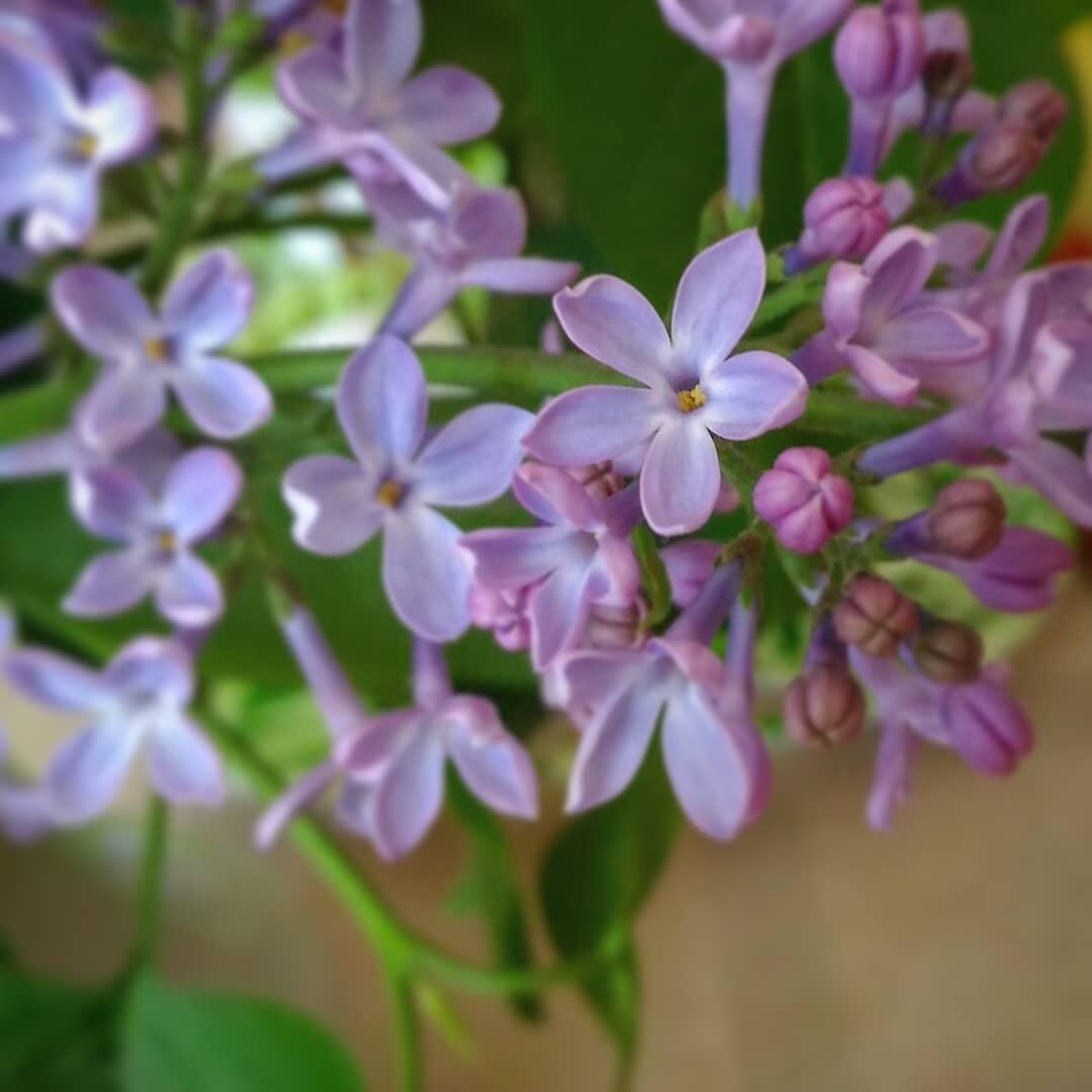 Сбудь моё желание