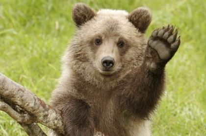 Спасение турецкого «узника»