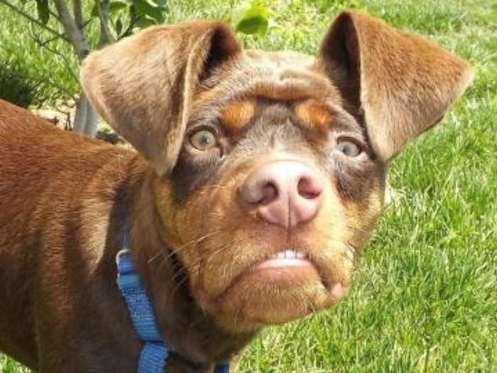 Ассоциации(Милая)