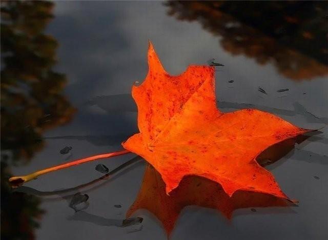 Вдохновенья друг безликий