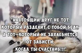 НЕВЕРНЫЙ ДРУГ