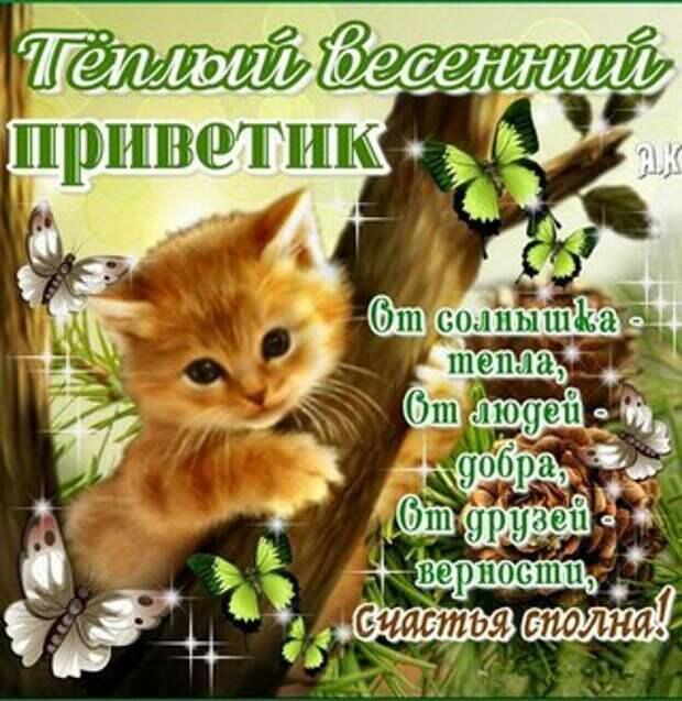 Привет от Весны