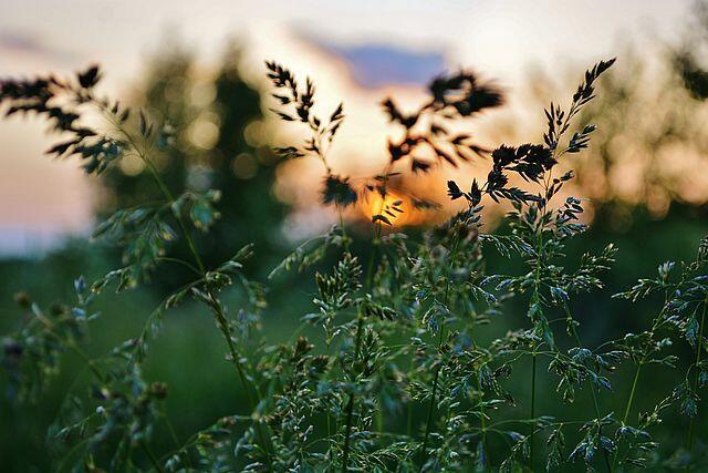 Иногда просыпаться не хочется...