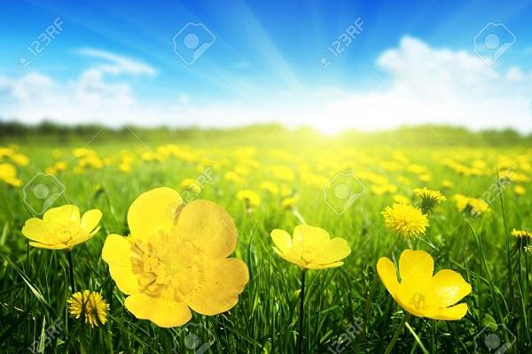 Вид из окна вагона... (зарисовки из командировки)