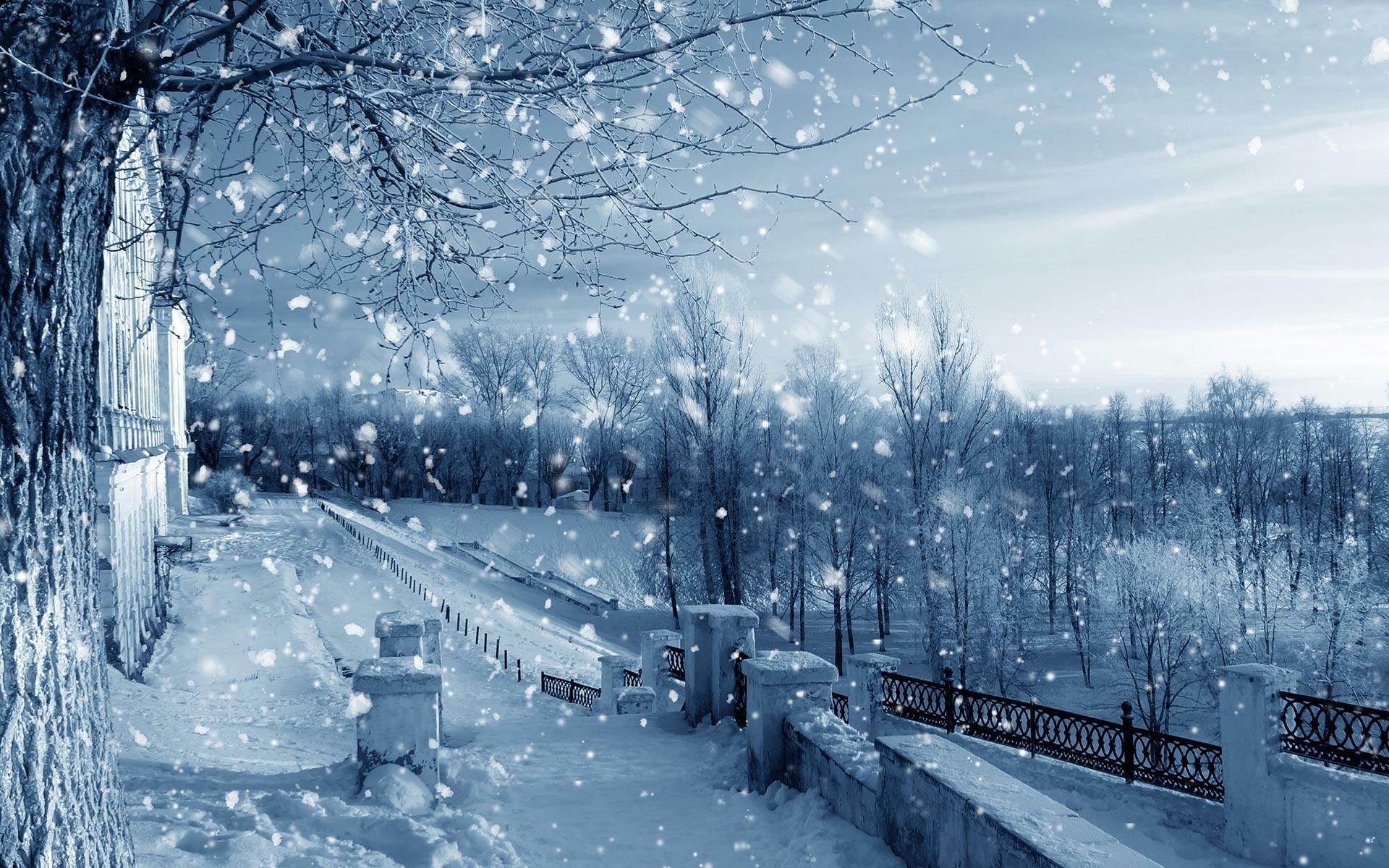 Зимний праздник