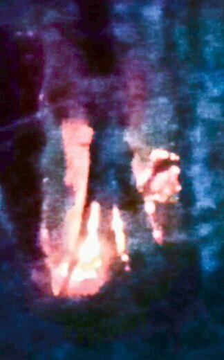 В лесном таинственном видении