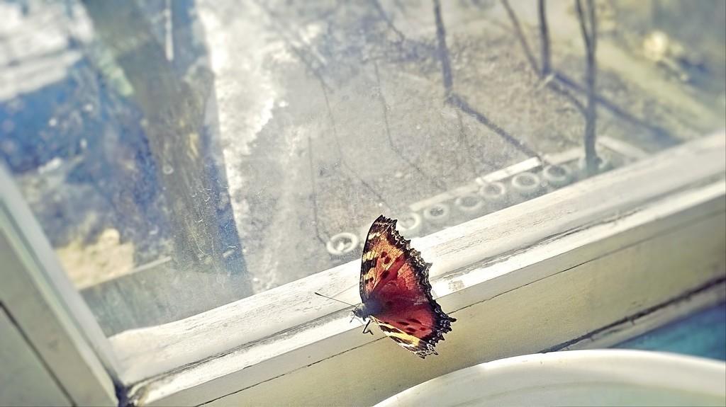 Вечной памяти лучшего друга