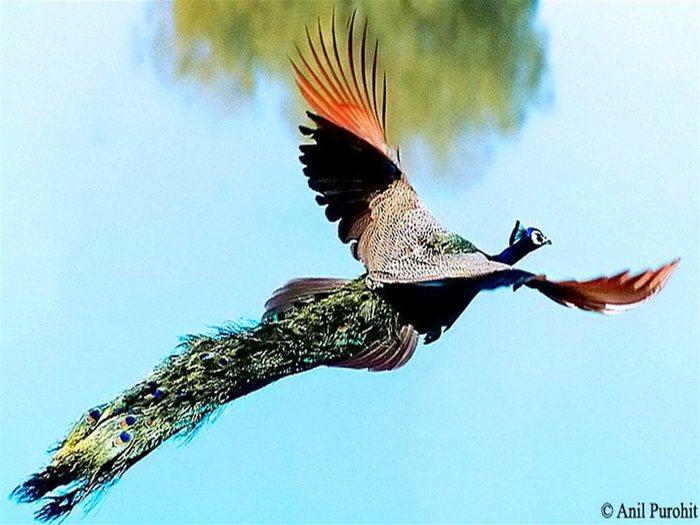 Куда идешь?