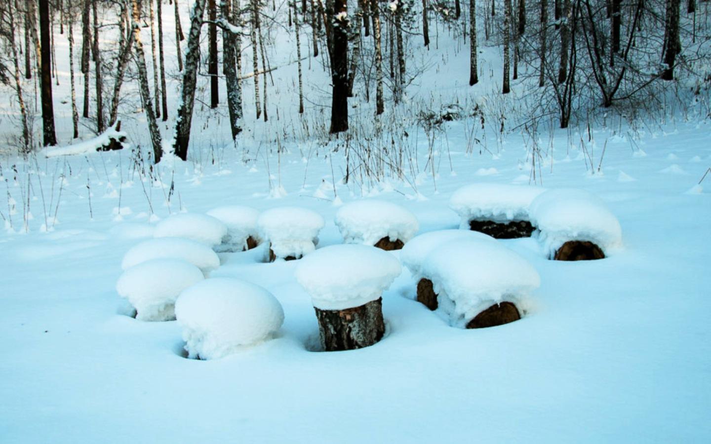 Причина - в изменении погоды