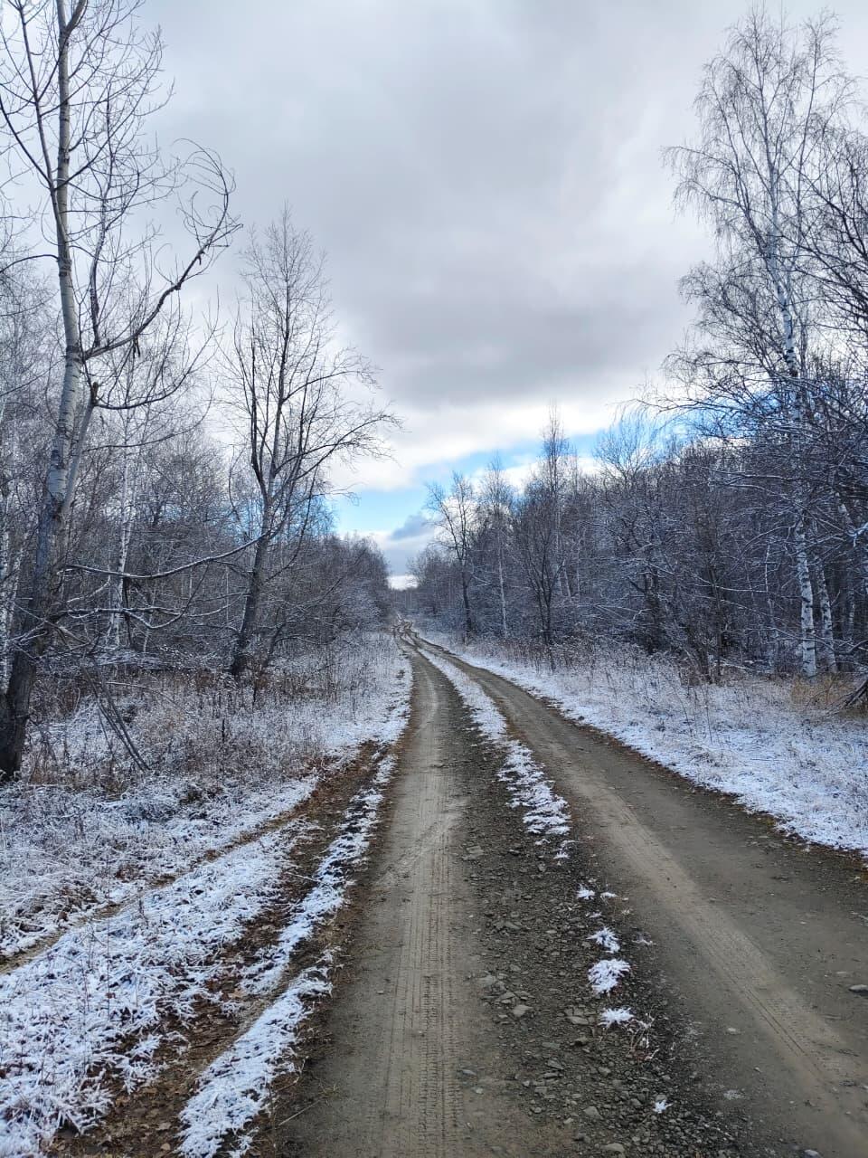 Пригубила осень тучи