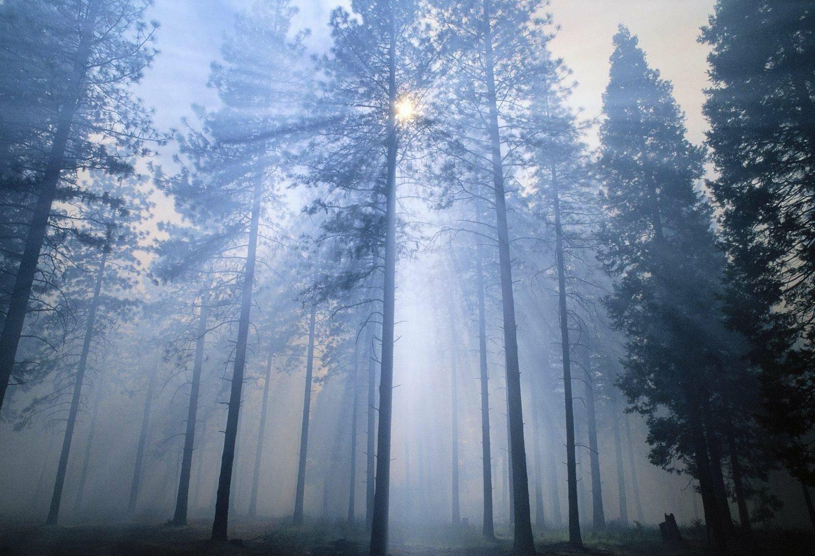 Ответ поэту - Александра Гритсан