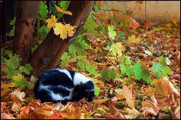 Возвращение