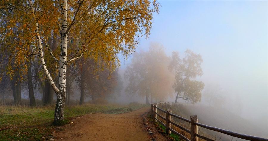 Пью туманы, верю в холода...