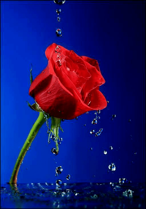 В ДУШЕ ЛИШЬ ШТОПАЯ ЗАРЛАТЫ