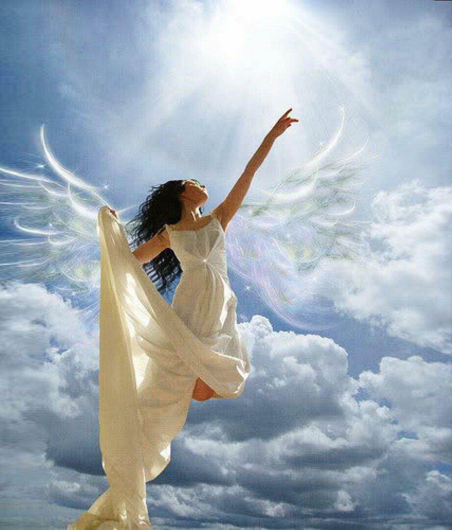 ОН ЯРЧЕ ТЫСЯЧЕЙ СОФИТОВ