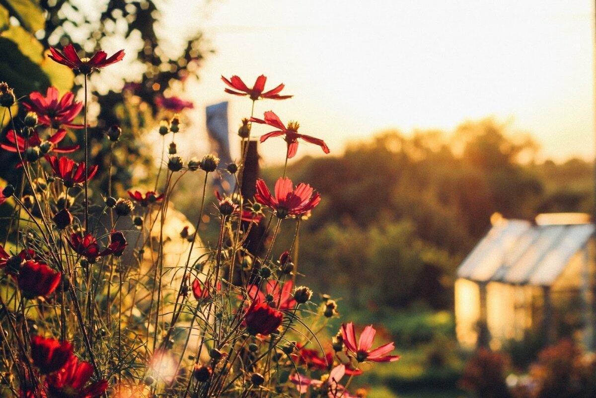 Остался шаг до осени