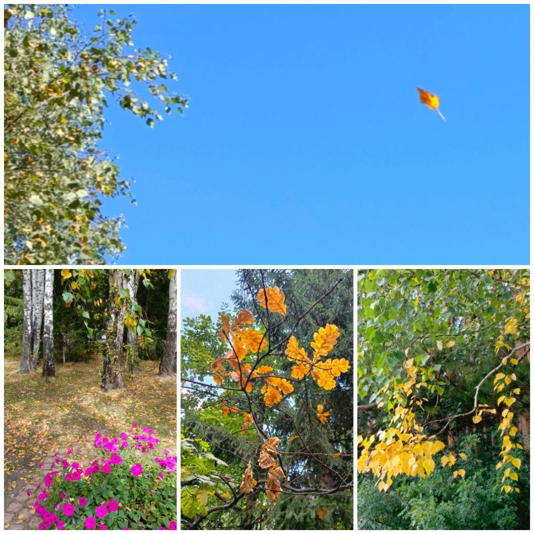 Лето прошло 