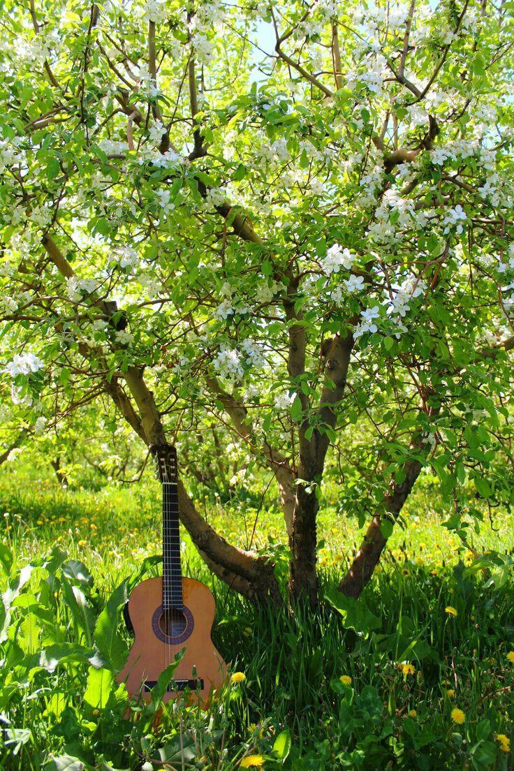 Авторская  песня   Forever!