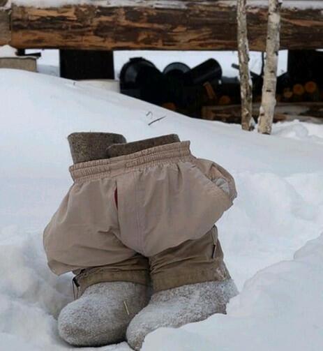 Жмутся пузаны друг к дружке. Сказка