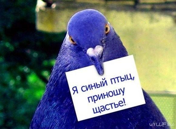 Откуда приходит счастье?