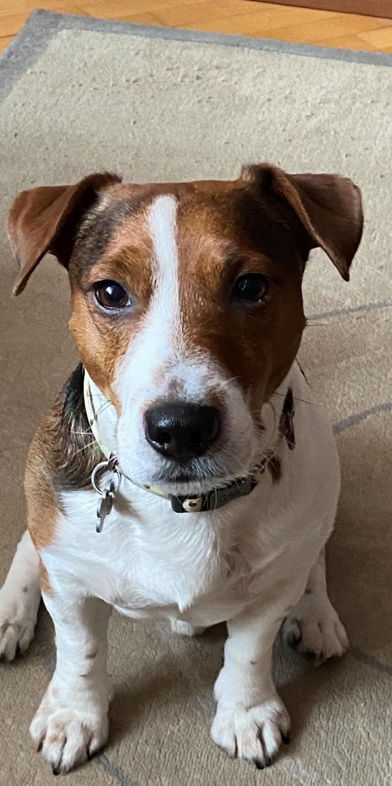 Как же хочется …