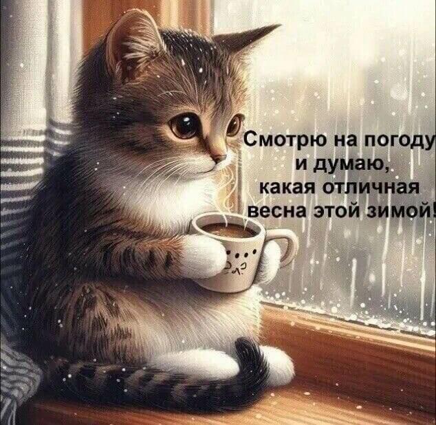 Благословение королевы Зимы