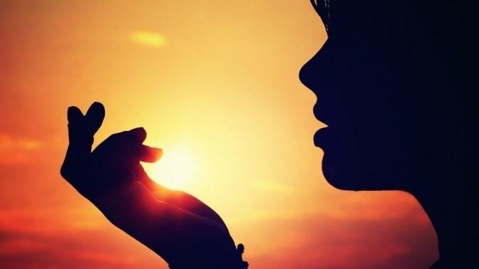 Розы в морозы