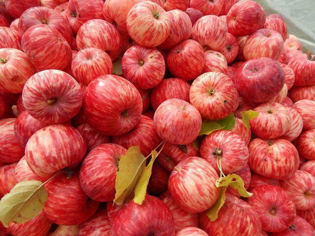 ❤️  СОХРАНИ   МЕНЯ