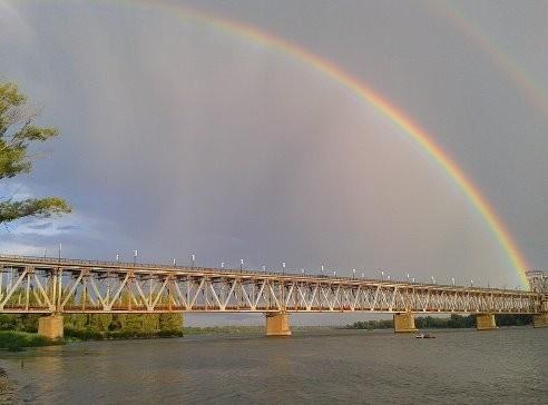 Весеннего чувства истоки.