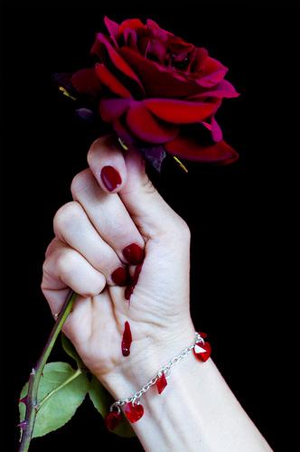 Ты подарил цветы- Кроваво алых роз.