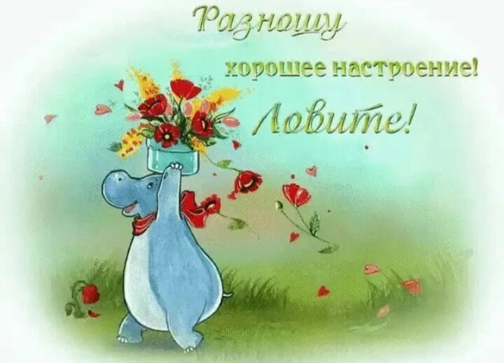 Цветы, цветы... ( приметы)