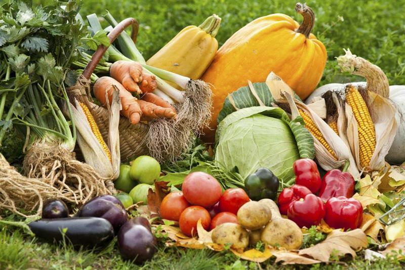 Тонна - Владимир Реут, Токарев Дмитрий, Вадим Рекун