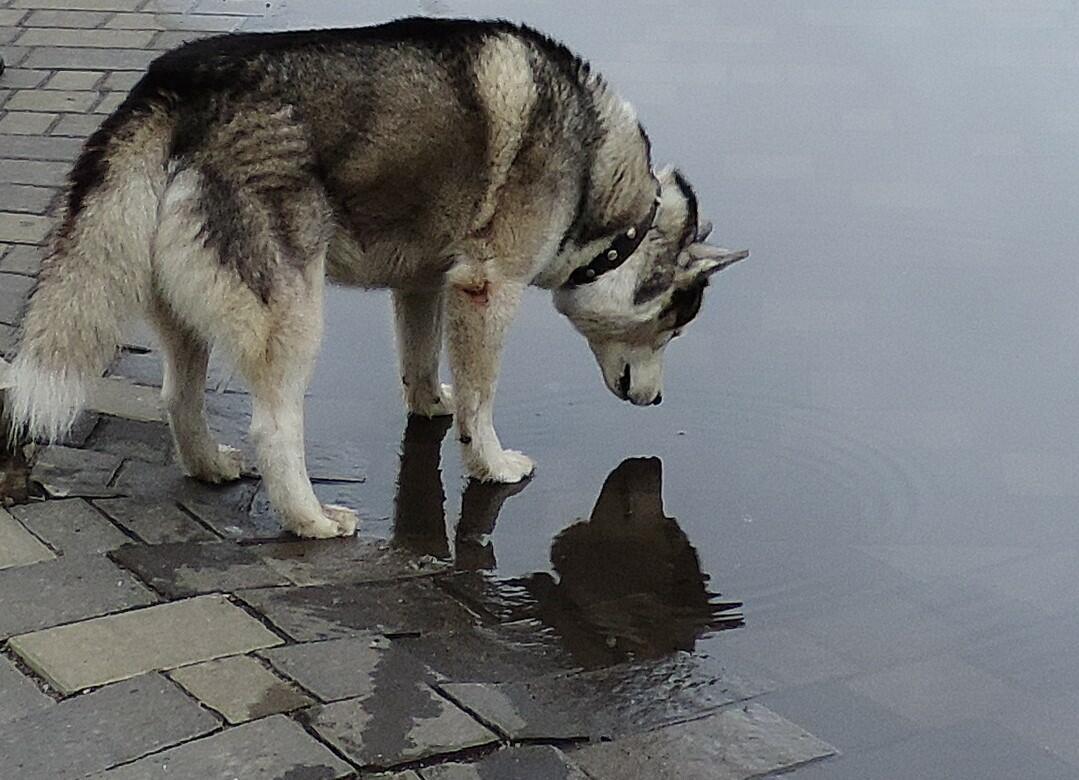 Осень ещё согревает меня.