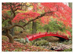 В парке светлых надежд